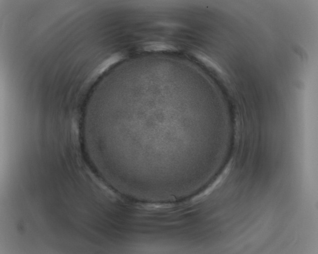 X0000115581305200911101139