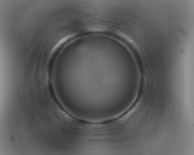 X0000115581306200911101139