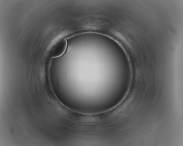 X0000115581307200911101139