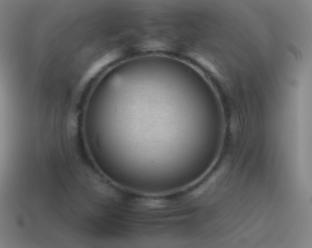 X0000115581309200911101139