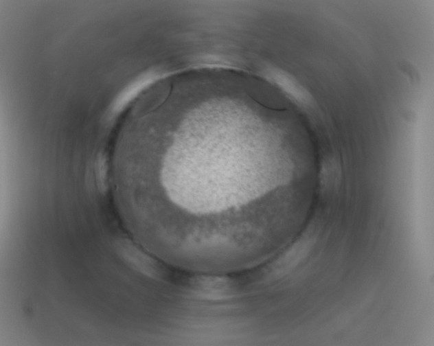 X0000115581310200911101139