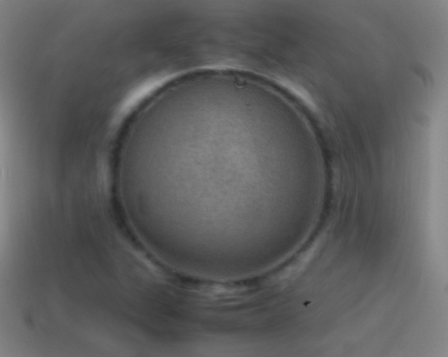 X0000115581311200911101139