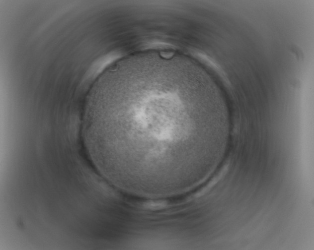 X0000115581313200911101139