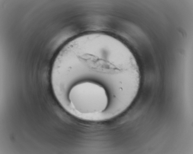 X0000115581314200911101139