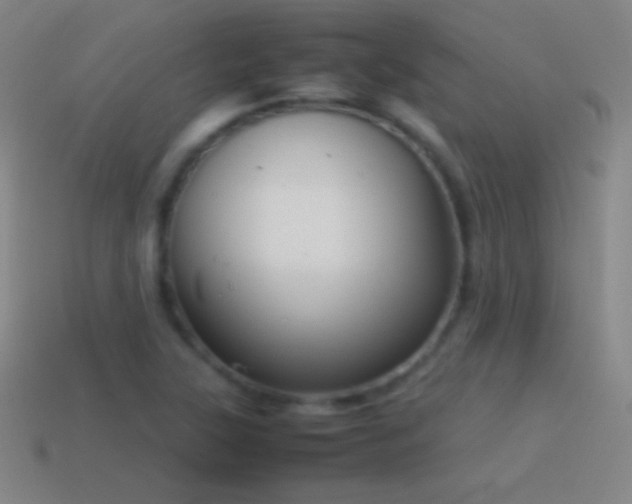 X0000115581315200911101139