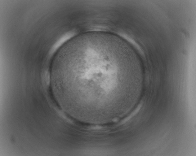 X0000115581317200911101139