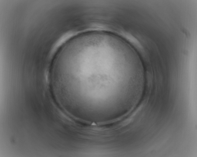 X0000115581318200911101139