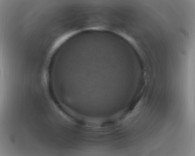 X0000115581319200911101140