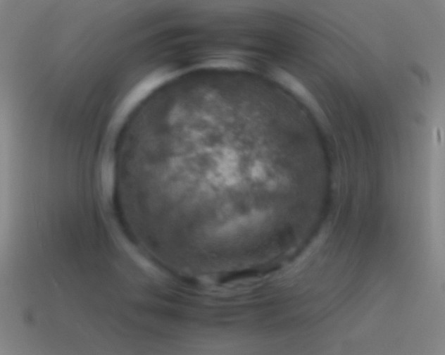 X0000115581323200911101140