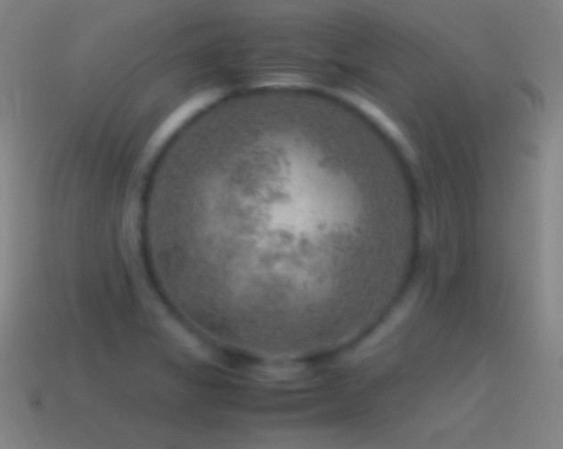 X0000115581325200911101140