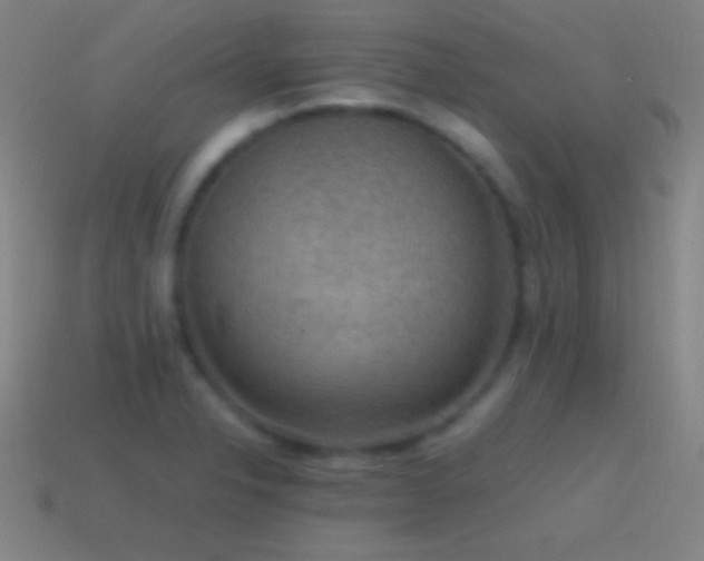 X0000115581326200911101140