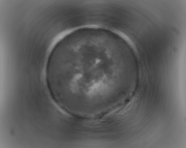 X0000115581327200911101140