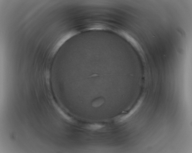 X0000115581329200911101140