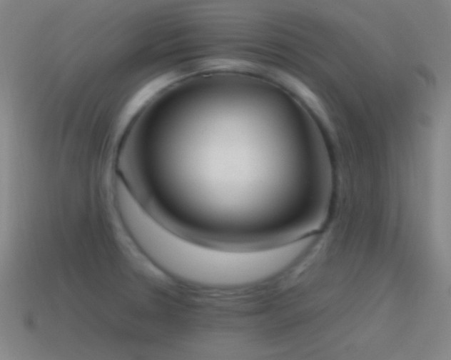 X0000115581330200911101140