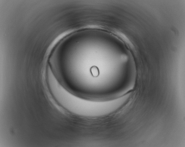 X0000115581331200911101140