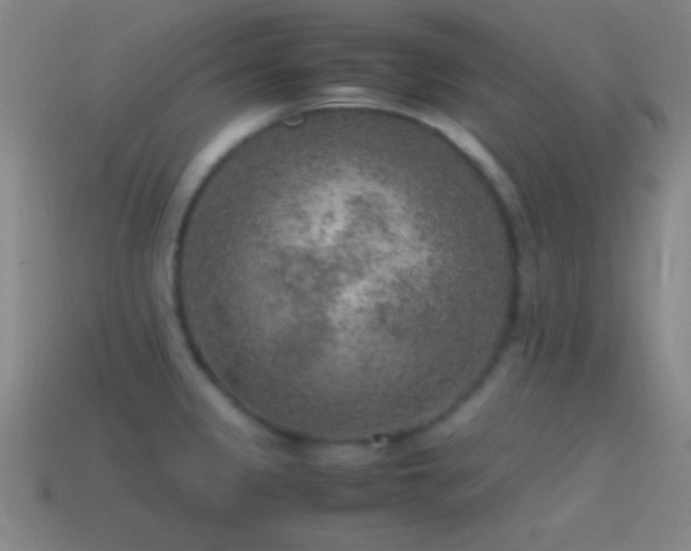 X0000115581333200911101140