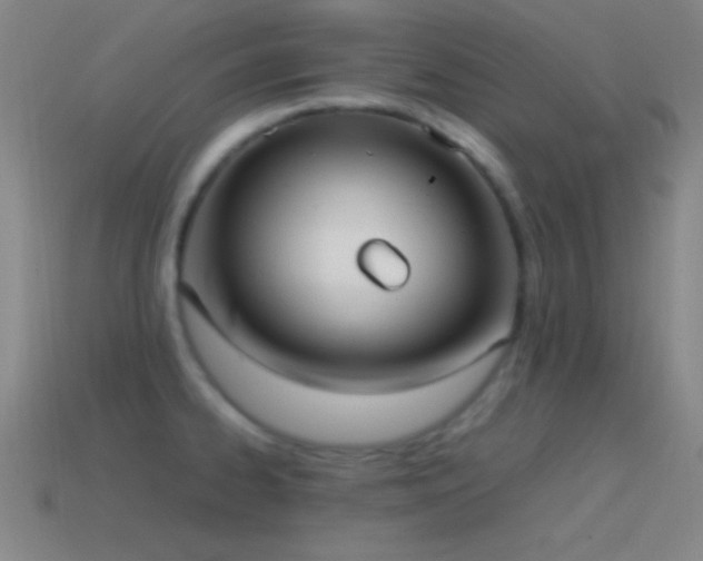 X0000115581334200911101140