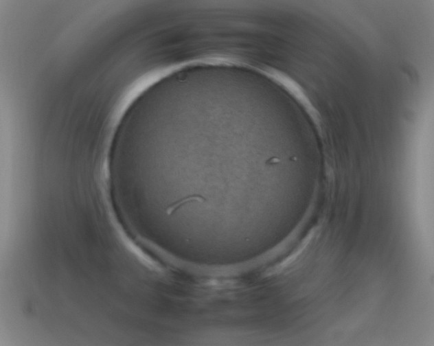 X0000115581335200911101140