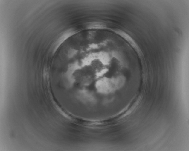 X0000115581337200911101140