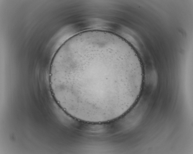 X0000115581338200911101140