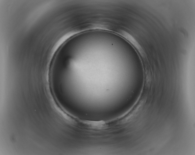 X0000115581339200911101140