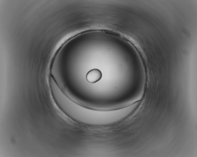 X0000115581342200911101140