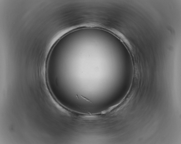 X0000115581343200911101140