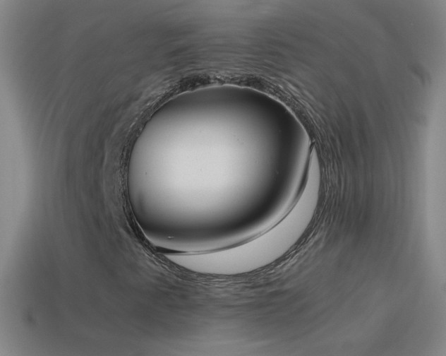 X0000115581345200911101139