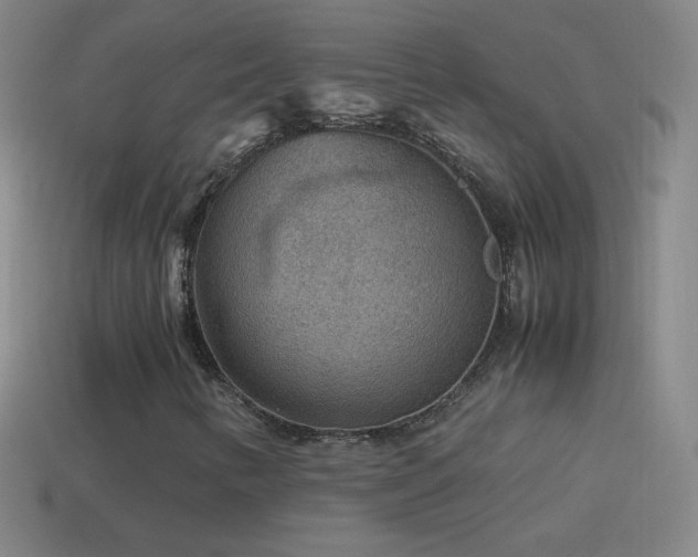 X0000115581346200911101139