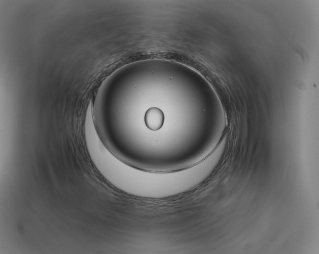 X0000115581348200911101139