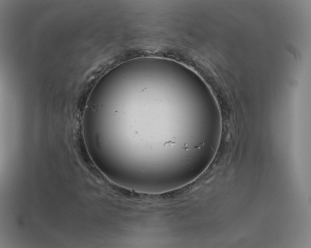 X0000115581349200911101139