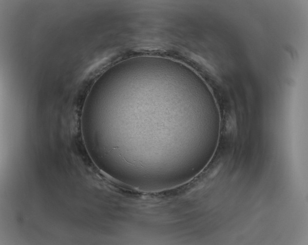 X0000115581350200911101139