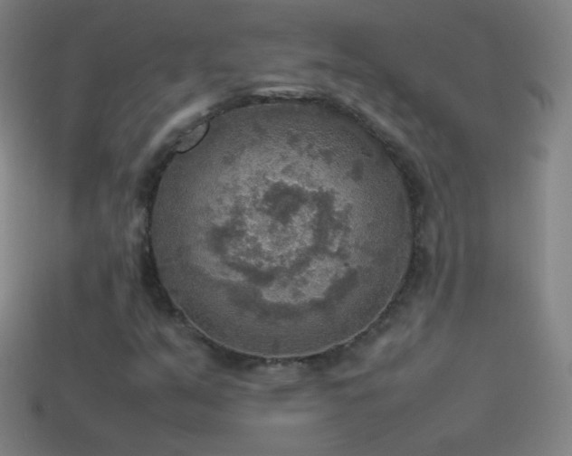 X0000115581351200911101139