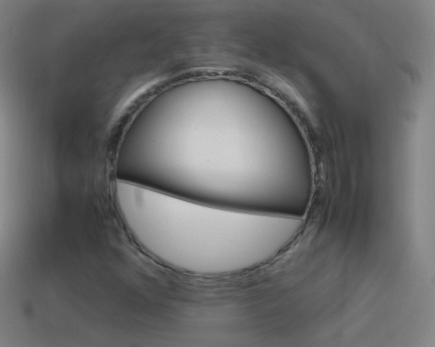 X0000115581352200911101139