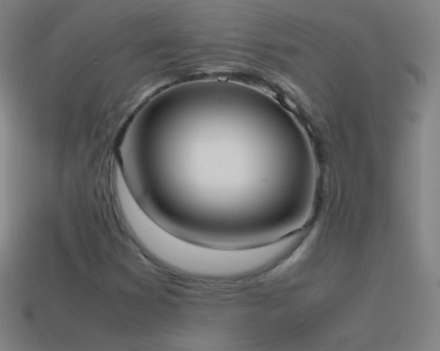 X0000115581353200911101139