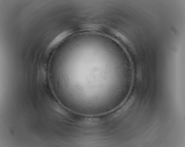 X0000115581354200911101139