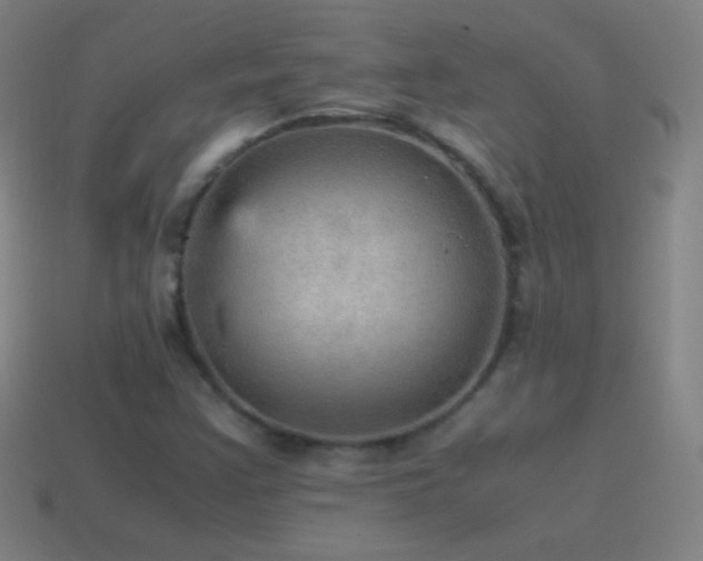 X0000115581355200911101139