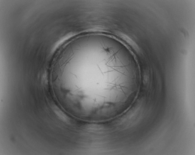 X0000115581356200911101139