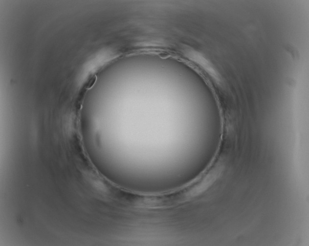 X0000115581357200911101139