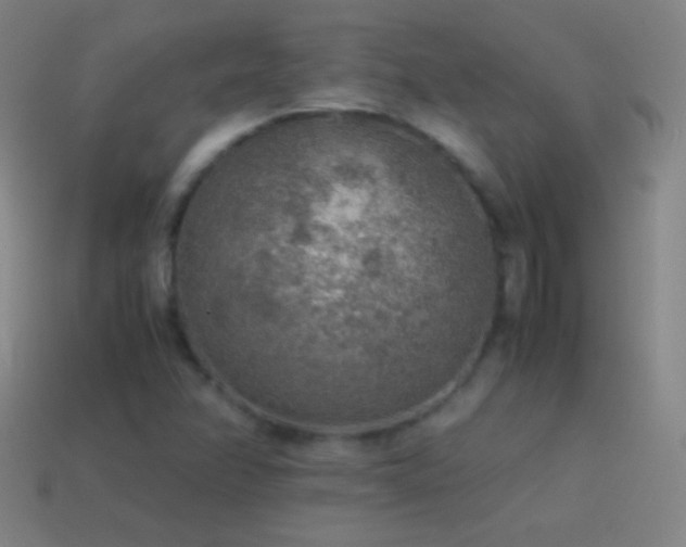 X0000115581358200911101139