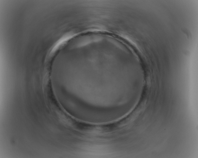 X0000115581359200911101139