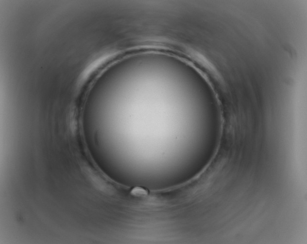 X0000115581360200911101139