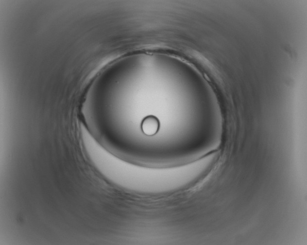 X0000115581361200911101139