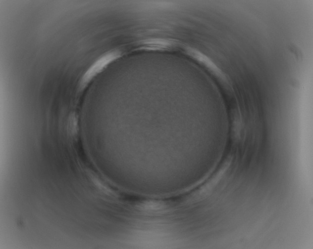 X0000115581362200911101139