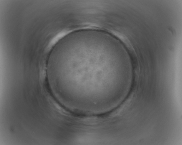 X0000115581363200911101139