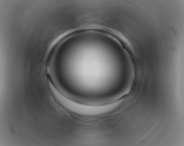 X0000115581364200911101139