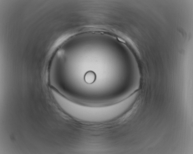 X0000115581365200911101139