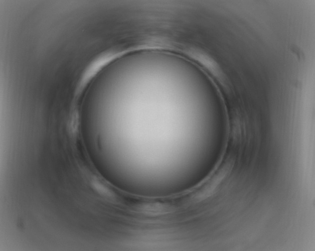 X0000115581366200911101139