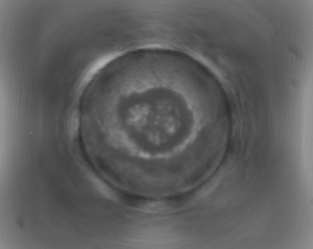 X0000115581367200911101139