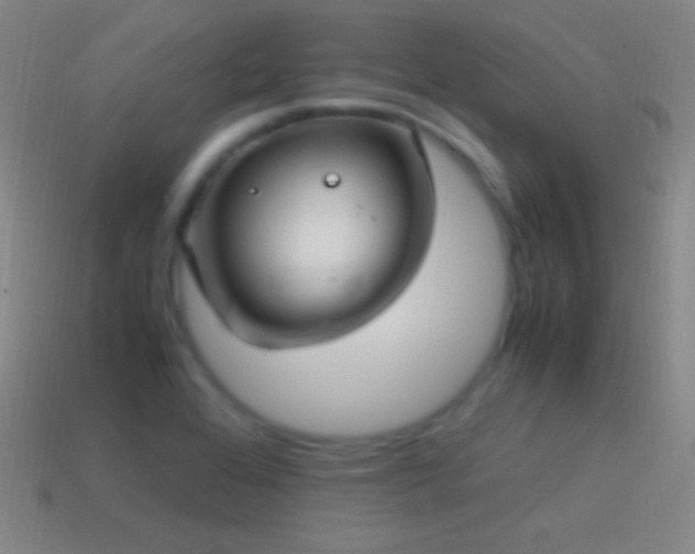 X0000115581368200911101139